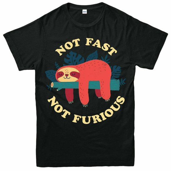 Sloth Not Fast Not Furious T-Shirt - Picture 1 of 2